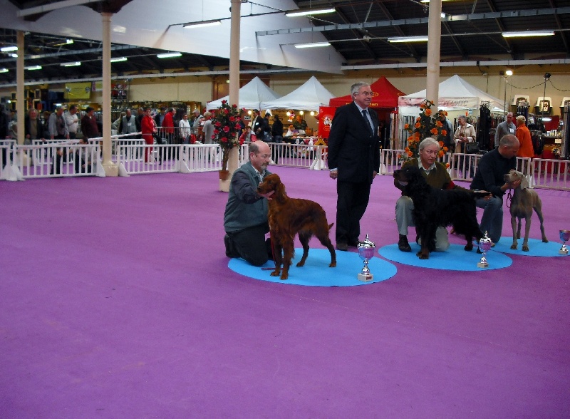 IMAGE à valence 2012